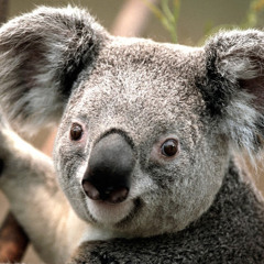 SATAN+HITLER=FRIENDSHIP