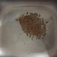 weaboob