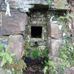 Juan Carlos Martínez Fontana