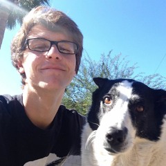 the sounds of (Bradley Hartsell)