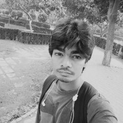 rajveer rall