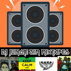 Dj jungle#zim