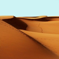 Desert Rhythm