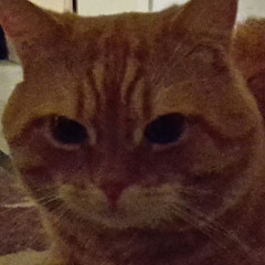Capper