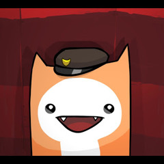 João Vitor Pereira Gomes