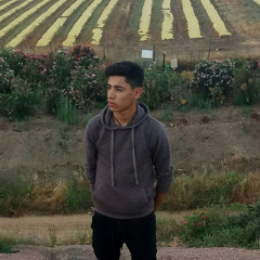 AVISHAY HAIM7