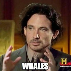 Erlend Åshamar Eriksen