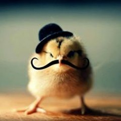 Prasetyo Bagus Ardiyanto