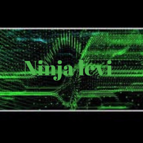 Ninja levi’s avatar