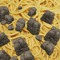 RockPasta