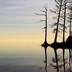 Record وبت ابث اشواق الوصال ، ابو عاصم