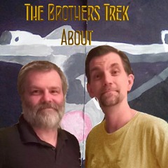 The Brothers Trek: Star Trekking Every Episode