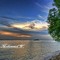 Mohammed Waheed