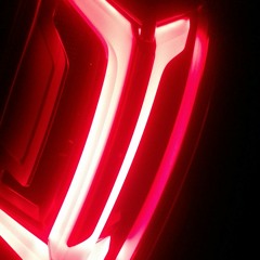 PHOENIX white flower b_y