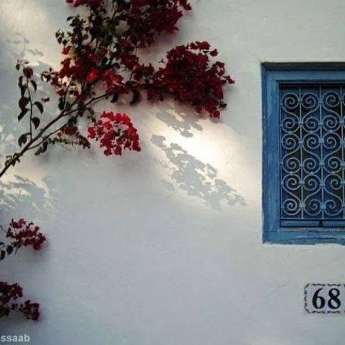 Karmet-çiki kovarTci....