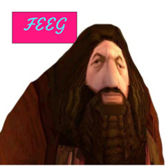 FEEG