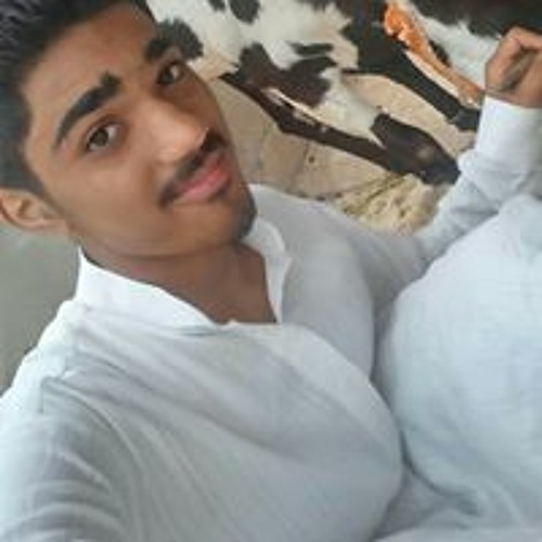 Asharib Adil’s avatar