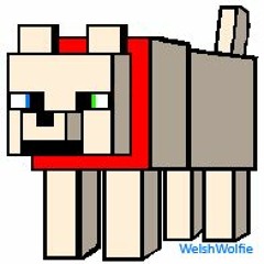 WelshWolfie
