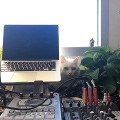 a d i r ø n d a c k