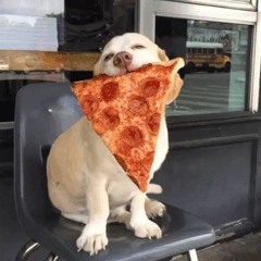 Pizz Pizza
