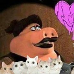 Katt Bepis