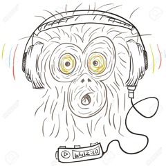 MonkeyChief