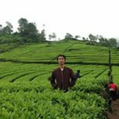 Hidayat Akmal