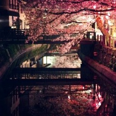 Жасмин Мурсалова