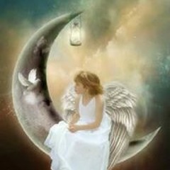 Hoba Mohamed Motawaa