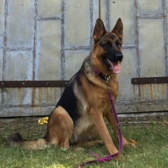 Nika9