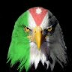 شادي البوريني - هذا ابني  Shadi Al Bourini - Hatha Ibni.mp3