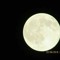 Love Moon