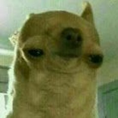 Autistic Dog