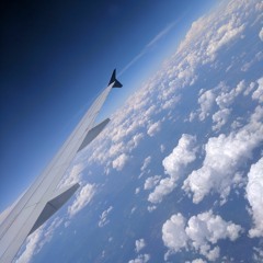 skyanchovy