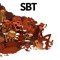 SBT