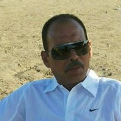 Osama Mohamed