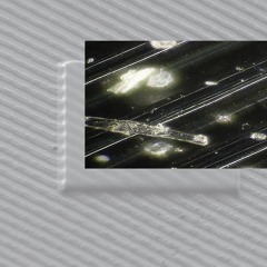 DISC_ARCHIVE