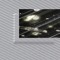 DISC_ARCHIVE