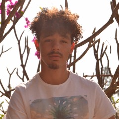 Lesardo Rivaldo Plaatjes