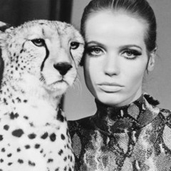 Brothers Scholpenhauer