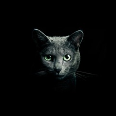 @catn_cheese