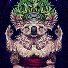 Саша Вольный