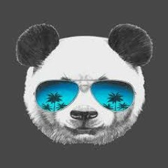 The Panda