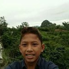 Mas Fikri