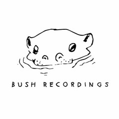 Bush Recordings