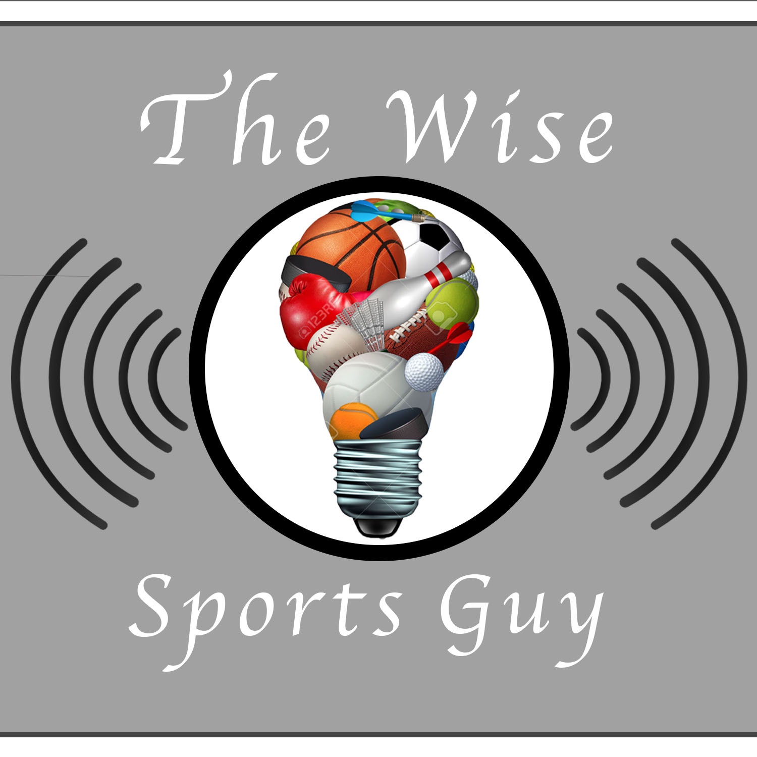Wise Sports Guy