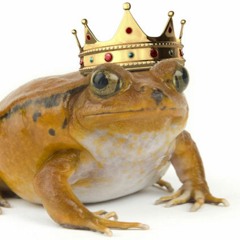 toad.Prophet