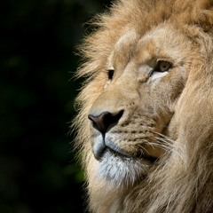 Malachi Entertainment