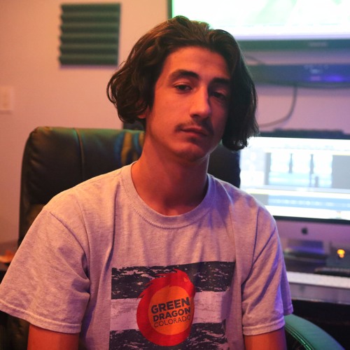 Stream DOOKIE STUDIOS music Listen to songs, albums, playlists for