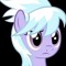 cloudchaser